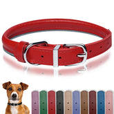OOPSDOGGY rolled-leather-collar closeup shows premium leather texture for daily wear
