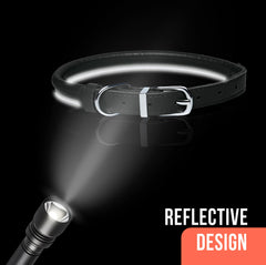 OOPSDOGGY rolled-leather-collar neck-measurement-m demonstrates size M fit for medium dogs