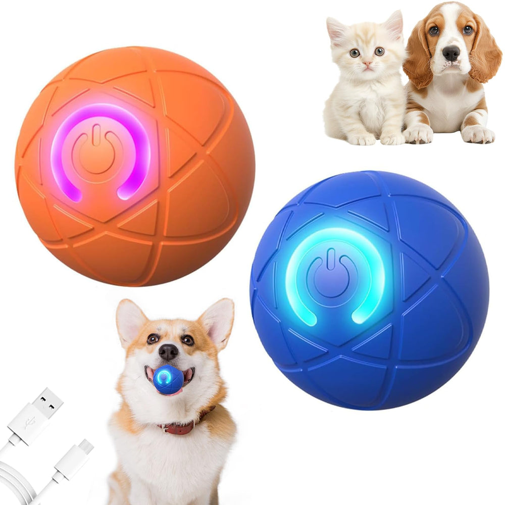 OOXYG Shaking Ball in orange and blue engaging a dog in interactive play.