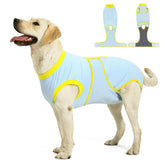OPAW recovery suit on a dog in blue and yellow, comfortable recovery wear for post-surgery.