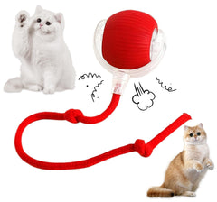 Opdent 360° cat ball red front view showcases engaging motion for active pets