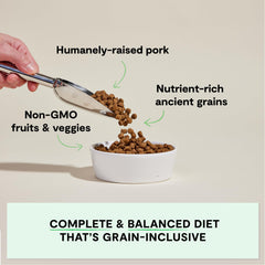 Open Farm ingredients close-up shows non-GMO produce for balanced nutrition