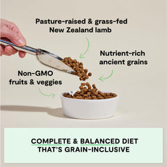 Open Farm ancient grains dry dog food bag back highlights traceable ingredients and grain-inclusive nutrition