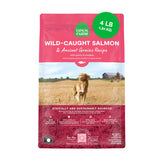 Open Farm Ancient Grains Dry Dog Food bag shows protein-rich bites for active dogs.