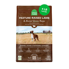 Open Farm ancient grains dry dog food in a bowl for balanced digestion