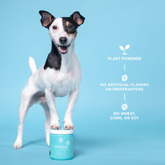 Open Farm Calming Chews packaging with recycle icon demonstrates eco-friendly packaging.