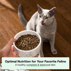 Open Farm cat-kibble in bowl close-up grain-free and high-protein.