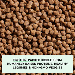 Open Farm ethically sourced ingredients emphasize traceability and quality.