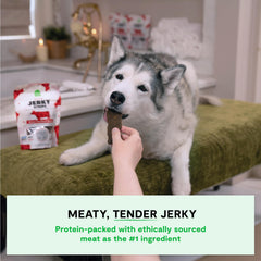 Open Farm grass-fed beef jerky close-up highlighting high-protein grain-free recipe