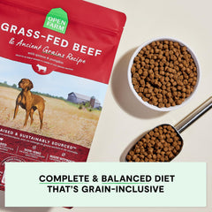 Open Farm Grass-Fed Beef Recipe bag closeup—high-protein, wholesome nutrition.