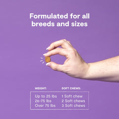 Open Farm Hip & Joint Chews jar cap highlights recyclable packaging and responsible waste practices.