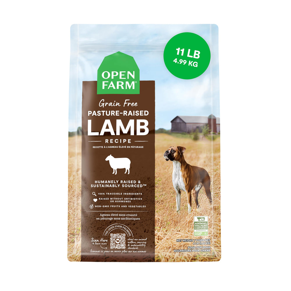 Open Farm Lamb Recipe dry dog food bag front—grain-free nourishment for busy dogs.