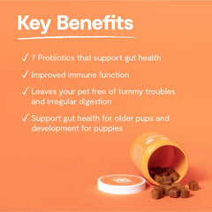 Open Farm Probiotic Chews vet-approved ingredients label emphasizing safety and oversight.
