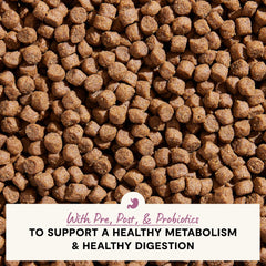 Open Farm probiotics-prebiotics-postbiotics graphic for gut-support benefits.