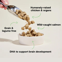 Open Farm puppy morsels texture closeup, bite-sized crunch for easy serving.