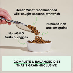 Open Farm whitefish recipe ingredients close-up show non-GMO fruits and veggies.