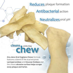 Ora-Clens enzyme-coated chews close-up highlights active lactoperoxidase and glucose oxidase.