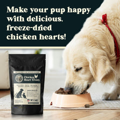 Oregon Silkworms chicken heart treat closeup highlighting natural texture and crunch for training rewards