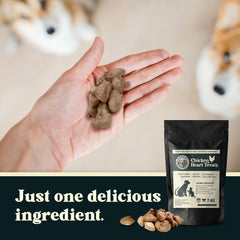 Oregon Silkworms nitrogen-flushed packaging preserving freshness and aroma