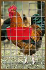 ORIBUKI cage cups on cage hook for stable attachment