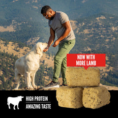 Orijen Regional Red freeze-dried texture close-up highlighting nutrient-dense, savory crunch.