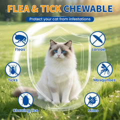Oritess Flea Tick Chews closeup reveals soft texture and chicken flavor