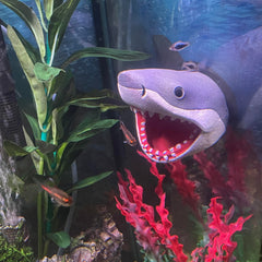 OrnaMounts aquarium ornament in-tank view creates the illusion of a shark approaching the wall.