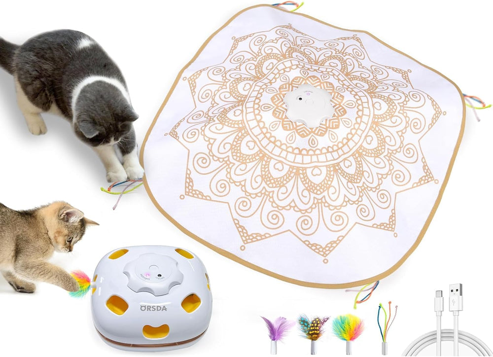 ORSDA 4-in-1 cat toy kit packaging highlights a boredom-busting option for indoor cats.