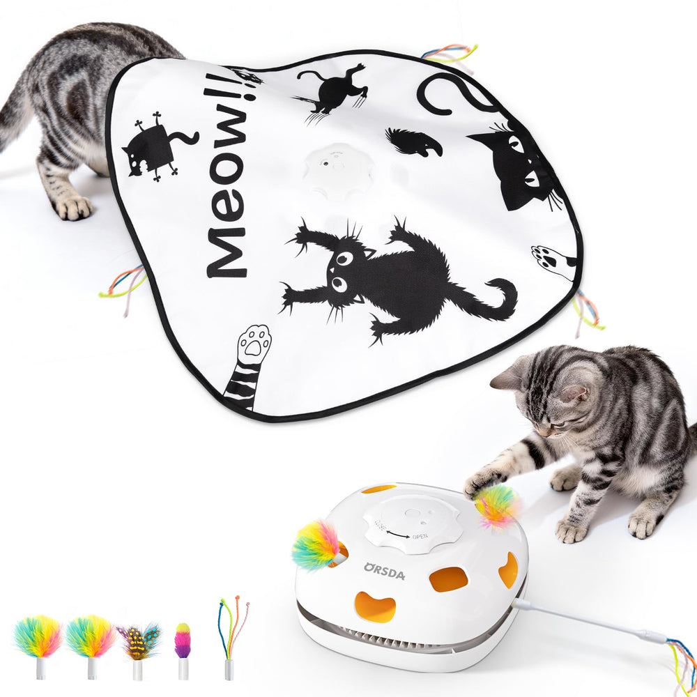 ORSDA 4-in-1 cat toy front view for indoor play sessions