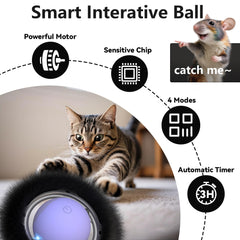 ORSDA four-sounds-attraction engages cats with squeaks and calls.