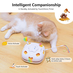 ORSDA hide-and-seek cover invites stalking and curious exploration