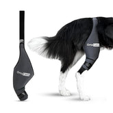 Ortocanis soporte de rodilla para perro derecho, aporta estabilidad en la pierna trasera.