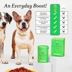 Other Half dog multivitamin powder being mixed into meals for flavor and nutrition.