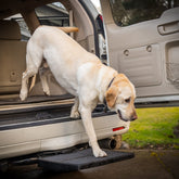 Otto Step pet ramp platform enables safer dog loading for cars and SUVs