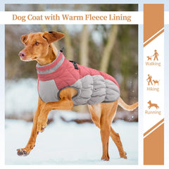 OUOBOB dog coat D-ring leash attachment keeps walks secure