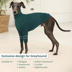 OUOBOB Greyhound pullover neck close-up highlights turtleneck warmth.