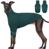 OUOBOB Greyhound sweater front view shows cozy knit warmth for walks.