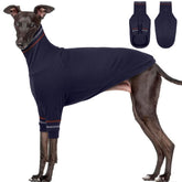 OUOBOB greyhound sweater front view for a snug, warm fit on sighthounds.
