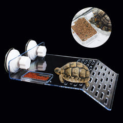 Ourjob turtle basking platform demonstrates stepped design for natural climbing.
