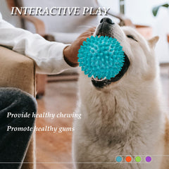 Ousiya dog toy floating; great for water retrieval and outdoor fun.