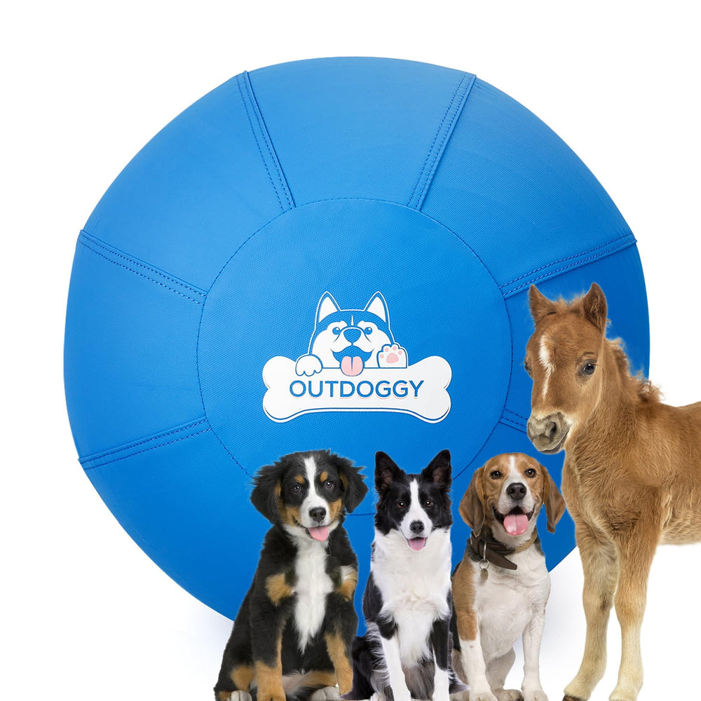 Outdoggy Herding Ball 22inch blue cover for backyard play and recall training.