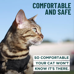 OutdoorBengal Houdini harness adjustable straps closeup for snug fit.