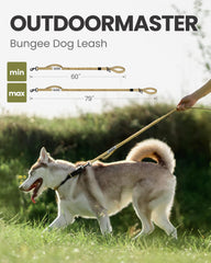 OutdoorMaster bungee dog leash durable materials showcases high-quality nylon and elastic rope.