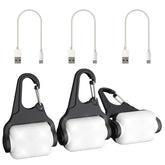 Outopest: luces de collar para perro en noche mostrando mayor visibilidad para paseos nocturnos