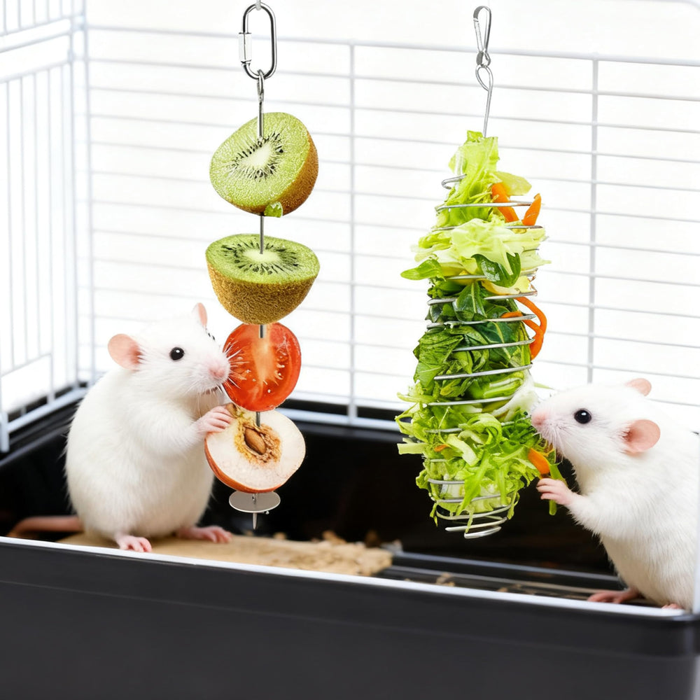 OUYIALY rat enrichment toy visible-fruit invites exploration and slow feeding for calmer mealtimes