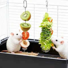 OUYIALY rat enrichment toy visible-fruit invites exploration and slow feeding for calmer mealtimes