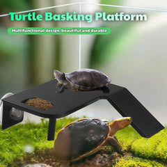 Ovimyne platform reinforced with bottom supports for durable multi-turtle setups