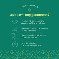 Oxbow Joint Support tablets close-up illustrates chewable joint care option for small pets.