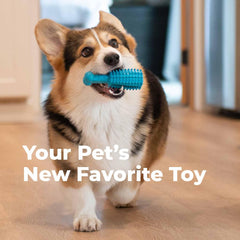 Oxyfresh dog dental chew toy soft ridges for gum massage