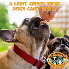 Pack Approved Lamb Tripe training rewards for dog training scenarios